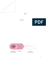 HORIZONTAL GENE TRANSFER AND INVIVO DNA RECOMBINATION Anthony