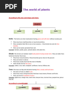 The World of Plants Study Material