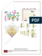 Class 12 Biology Study Material (2024-2025)