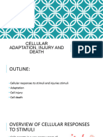 Cellular Adaptation, Injury and Death