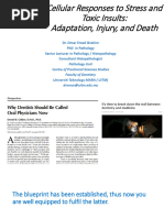 Cellular Responses To Stress and Toxic Insults Adaptation Injury and Death Lecture DR Omar Emad Ibrahim 2022