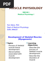 Myogenesis - Skeletal Muscle Development - TWERE2