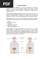 Sistema Endocrino