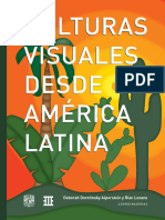 Dorotinsky, Alperstein Deborah y Rían Lozano. "¿Culturas Visuales Desde América Latina o Escalofríos Visuales?".