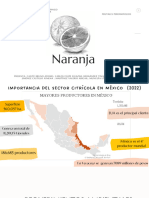 Naranja - Equipo 3