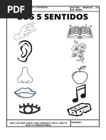 LOS 5 SENTIDOS Ficha