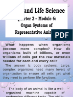 Organ System in Representative Animals