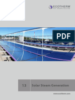 13 Ecotherm Solar Steam Generation en