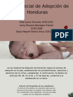 La Ley Especial de Adopción de Honduras 