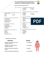 Fichas 15 de Noviembre