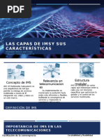 Aporte1 - Las Capas de IMS y Sus Características