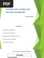 4 Introducción Al Sistema Jurídico Ambiental