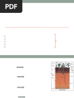 Chapter 2 Basic Properties of Soil 2020