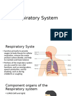 The Respiratory System