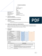 Informe Psicometrico BRIEF-P de J. A. P. H.