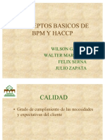 Conceptos Basicos de BPM y Haccp