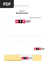 10 Clase Bioelectricidad