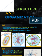 CELL STRUCTURE AND ORGANIZATION Notes