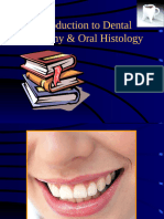 Introduction To Dental Anatomy