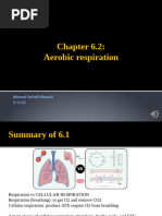 6.2 Aerobic Respiration