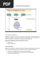 Integration of Metabolism BCM 223