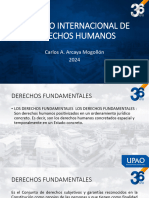  Derecho Internacional de Los Derechos Humanos