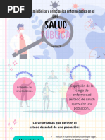 Salud PDF