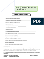 Celomados Equinodermos y Anélidos para Segundo de Secundaria Asignación