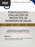 Formulacion de Proyectos de Inversion