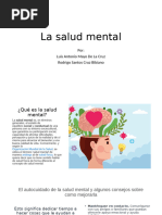 La Salud Mental