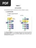 Tema 2 Los Glúcidos