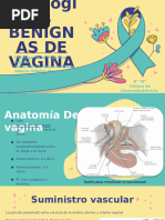 Patologías Benignas de Vagina