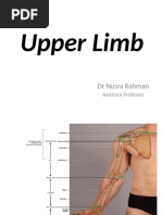 Upper Limb