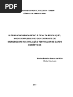 Ultrassonografia Modo B de Alta Resolução, Modo Doppler e Uso de Contraste de Microbolhas Na Avaliação Testicular de Gatos Domésticos