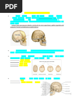 Repaso Anatomía