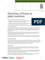 Functions of Boron in Plant Nutrition