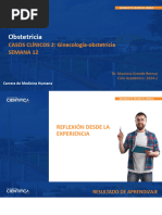 Semana 12 - Obstetricia