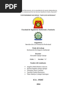 Declaracion Impacto Ambiental Proyecto Minero