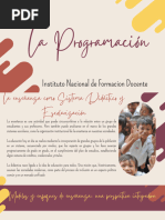 5 - La Programacion - Didactica General PDF