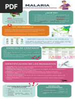 Infografía Sistemas Cuerpo Humano Ilustrado Multicolor