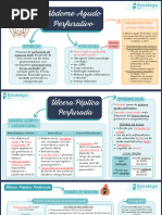 Mapa Mental - Abdome Agudo Perfurativo