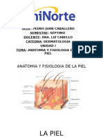 P1.clase 1. Anatomia y Fisiologia de La Piel