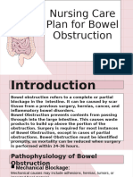 Evidence Based Nursing Care Plan For Intestinal Obstruction