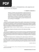 BERIZONCE, Roberto. Medidas Cautelares, Anticipatorias y de Urgencia El Proceso de Amparo