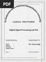 DSP File