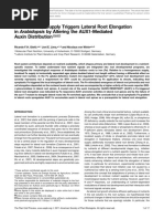 Localized Iron Supply Triggers Lateral Root Elongation in Arabidopsis by Altering The AUX1-mediated Auxin Distribution