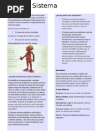 Ficha Resumen Del Sistema Nervioso Periferico