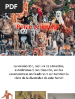 5NAT Biología II - Reino Animalia