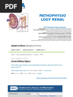 Pathophysiology Renal