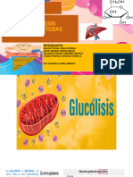 Glucolisis